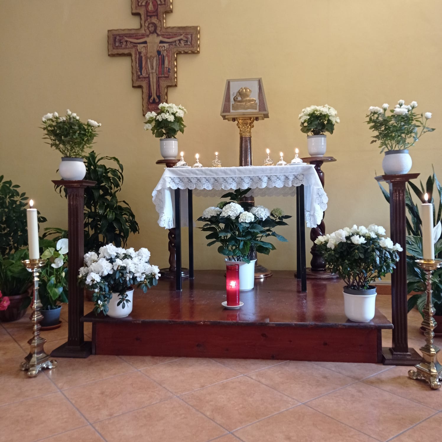 Piccole Figlie del Sacro Cuore di Ges&ugrave;